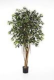 artplants.de Decorative ficus AURIOL with aerial roots, 1.440 leaves, green, 5ft/150cm - Artificial ficus/Plastic tree