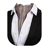 Beaface Men Cravats Ties, Ascot Ties Cravats for Men Paisley Floral Jacquard Woven Cravat Tie Wedding Business Party Casual (Light Blue Paisley)