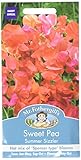 Mr Fothergill's 13984 Flower Seeds, Sweet Pea Summer Sizzler