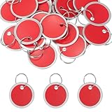 PATIKIL 3cm Metal Rim Key Tags 25 Pack Blank Round Paper Tags Bulk Writable Keychain Identifiers with Split Rings for Car Door Drawer Key Luggage Pet, Red