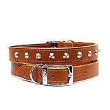 Ancol Heritage Leather Dog Collar for Dogs and Puppies - Tan Bridle Leather Pet Training Collar with Stud Design - Durable and Comfortable - Size 28-36cm Size 3