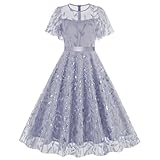 Women Mesh Floral Embroidery Vintage Cocktail Swing Dress Ruffle Sleeve Embroidered Floral Dress for Women Tulle Prom Dress, Light Blue, M