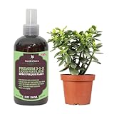 Professional Jade Plant Spray Fertilizer Mist for Home Gardening | 3-1-2 Gentle Blend Mist for Healthy Leaves & Growth | Essential Nutrients for Jade Plants - 8oz