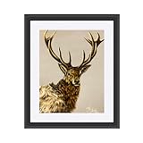 Stag (White Mount)