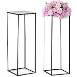 Nuptio Black Vase Plant Stand - 2 Pcs 80cm Tall Flower Vases for Wedding Birthday Party Centrepieces - Metal Column Display Table Rack Indoor Corner Flower Stand for Home Living Room Decorations