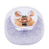 Eggs Incubator, Incubator for 12 Eggs Automatic Egg Turning, 360° View for Hatching Chickens, Ducks & Other Birds, Adjustable Temperature 20-50℃
