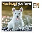 West Highland White Terrier Puppies Mini Calendar 2026 + FSC ECO-FRIENDLY DIARY