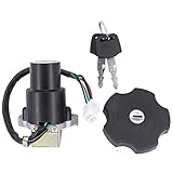 HouYeen Ignition Barrel Switch Fuel Tank Cap Lock with Keys for Pulse Adrenaline Sinnis Apache 125 Superbike RMR 125