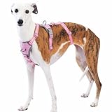 Huntboo Medium Escape Proof Dog Harness, Anti Pull Reflective Pet Harnesses, Secure 3 Point Vest for Small Animal, Lightweight, Adjustable, for Large Dogs Outdoor Training, Hiking (Pink, S)