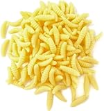 50 Pcs Lifelike Scented Soft Maggots Fishing Lures – 1 Inch Realistic Plastic Wax Worms Baits for Carp, Trout, Barbel & Bass – Ideal Carp & Trout Rig Supplies