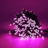 The Christmas Workshop 75030 100 Pink LED Chaser Christmas Lights/Indoor or Outdoor Fairy Lights / 6.9 Metres / 8 Light Modes/Great for Christmas, Weddings & Gardens