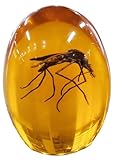 VEOJEIN Jurassic Mosquito in Amber | Durable Resin Encased Detailed 2D Insect. Perfect for Collectors and Enthusiasts | Paperweight, Aged Effect, Desk Ornament