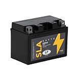 Landport SLA Ready To Use Starter Battery 12 volt, 11 Ah/10hr, 210 CCA, AGM Technology-Ideal For Motorcycles & Powersport Vehicles Fits Honda Silverwing 600 2010-2010 MS LTZ12-S