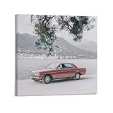 NOHYS Classic Sport Car Poster E-Class W123 AMG Racing Poster Decorative Painting Canvas Wall Posters And Art Picture Print Modern Family Bedroom Decor Posters 12x12inch(30x30cm)