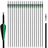 NorthSpoor 18 Pcs Archery Carbon Arrow Set, 30 Inch with Removable Arrows for Compound and Recurve Bows Practice Hunting Arrows
