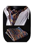 HISDERN Mens Cravats Multicolor Paisley Cravat for Men Vintage Silk Cravat for Men and Pocket Square Set classic Ascot Scarf for Wedding Party Christmas