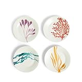 Royal Doulton 1815 Bright Plate 16cm 6.3in Multicolour Mixed Pattern Set of 4