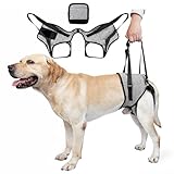 Dog Lifting Harness for Back Legs, Dog Support Harness Slings for Large Medium Small, Adjustable Dogs Brace for Hind Leg, Support Strap for Injured Disabled Elderly Dogs Walking Aid (S)