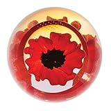 Caithness Glass Charms Red Poppy Paperweight | Single | 65mm x 65mm | Handmade in Scotland | A Vivid red Poppy Takes Centre Stage Inside This Faceted Glass Dome| Ornamental | Boxed | Gift