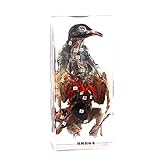 Rainbow_Road Real Animal Pigeon Dissection Specimen Resin Paperweight Dissection of Pigeon Taxidermy Science Classroom Specimen for Science Education