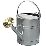 Easy Shopping® 9 Litres / 2 Gallon Garden Plant Flower Galvanised Metal Steel Watering Can with Brass Rose