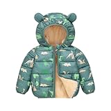 JiAmy Baby Toddler Boys Girls Winter Coats Hooded Fleece Thicken Jackets Outerwear with Cute Ear Warm Kids Coat Clothes Green Dinasour 18-24 Months