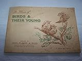 Birds & Their Young-50/50 Cigarette Cards-Player