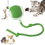 Interactive Cat Toy Ball, Luoqun88 Electric Automatic Cat Toys for Indoor Cats, Moving Cat Toys-Simulates Bird Calls, USB Rechargeable, Automatic Cat Toy Ball For All Floors & Carpet Available (Green)