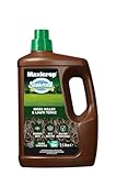 Maxicrop 86600259 Moss Killer & Lawn Tonic, 2.5L - Fast Acting 2-in-1 Moss Killer and Lawn Re-Growth Tonic - with Natural Seaweed Extract - Improves Lawn Health and Strong Rooting - Garden Care