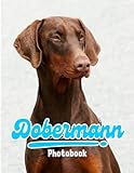 Dobermann Photography Book: Cute And Funny Dobermann Puppies Picture Book With 40 Pictures Inside | For Fan And Dog Lovers to Stress Relief