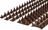 the Cactus Cat Intruder Deterrent Repellent Wall Fence Spikes: Pack of 10 (4.5M to 13.5M) - BROWN