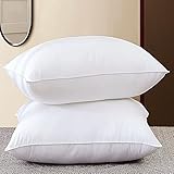 Adam Home Cushion Inserts 50cm x 50cm (20" x 20" inches) Quick Rebound Fluffy White Cushion Inner, Perfect Hollowfibre for Sofa Cushion Pads (Pack of 2)