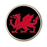 Welsh Dragon Wales Round Silver Colour Badge With A Velveteen Bag