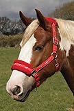 Rhinegold Logo Headcollar fleece trim - Cob - Red