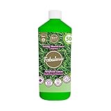 Fabulosa 4 in 1 All Purpose Disinfectant and Deodoriser, Pet Friendly Moss Growth Killer and Artificial Grass Cleaner, 1L, Individual, Freshly Mowed Lawn