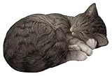 Vivid Arts - Sleeping Cat Tabby - XRL-ZC33-D