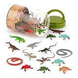 Terra by Battat – 60 Pieces Lizard Animal Tube – Realistic Plastic Reptile & Amphibian Figurines – Frog, Alligator, Snake & More – Educational Toys for Kids & Toddlers, 3+ Years