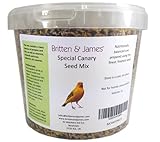 Britten & James Special Canary Seed Mix Containing Egg Based Biscuits in a 2 Litre Stay Fresh Resealable Tub