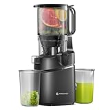 AMZCHEF Automatic Cold Press Juicer Machines 250W Liberate Your Hands -145MM Opening and 2L Capacity Slow Juicers for Whole Fruit and Vegetable, with Triple Filter, Safety Lock, Classic Black