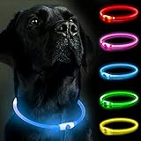 SerDa-Run Light Up Collar, Rechargeable Flashing Dog Collar with Size Adjustable Light - Three Modes (Blue)
