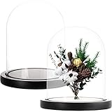 ZOOFOX Set of 2 Glass Dome Cloche with Black Wooden Base, 5.7" x 6.5" Decorative Bell Jar Display Dome for Plants, Fairy Lights, Photos, Succulents and Medals