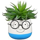 ABOOFAN House Plants Potted Plants Face Vase Face Planters Pots with Glasses Ceramic Succulent Planter for Office Home Desk Plant House Plants Flower Pots Indoor