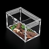 Reptile Terrariums Stick Insect Enclosure 20×12×12cm Transparent Acrylic Reptile Feeding Box Insect Habitat Terrarium Case for Spider Lizard Scorpion Geckos Centipede Horned Frog Beetle Mantis