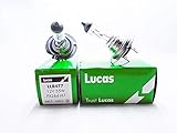 UKB4C 2 x Lucas H7 Headlight Headlamp Bulb 499 477 12V 55W 'E' Marked Dipped Beam (2 Pin)