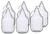 BDG5Z Glass Carboy / Glass Bottle, 5 L, Set of 6