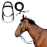 Horse Bridle with Rein Horse Headstall with Bits Rope Halters for Horses Halter Harness Bridle Reins
