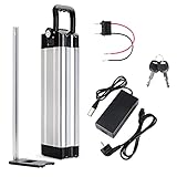 36V 15.6Ah Ebike cell, XH370-10J Sliver Fish Battery with Charger, Electric Bike AKKU for 250W/350W/500W Motor, Electric Bicycle Lithium-Ion Battery