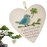 Holdes Friendship Jewellery - Acrylic Heart-Shaped Pendant Friendship Decoration | Bluebird Design Display Keepsake for True Friends Women Girls Teens Students Adults