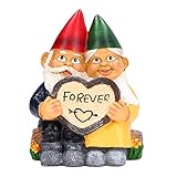 WOHPNLE Garden Couples Gnome Statue, Forever Gnomes Old Couple Small Outdoor Gnomes Garden Ornaments Figurine Indoor Outdoor Figurine for Patio Yard Lawn