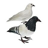Fenteer 2Pcs Artificial Feather Pigeon Furry Animal Taxidermy Figurine decor Ornament